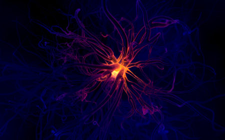 Neuron.jpg